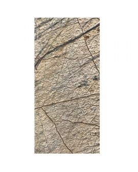 Płytki Marmurowe Rain Forest Brown szczotkowany 61x30,5x1,2 cm